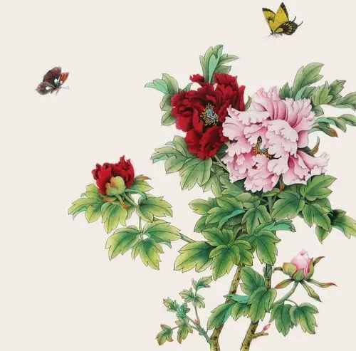 国画 牡丹 高清素材