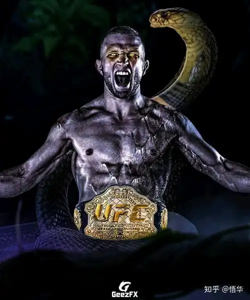 ufc经典镜头7
