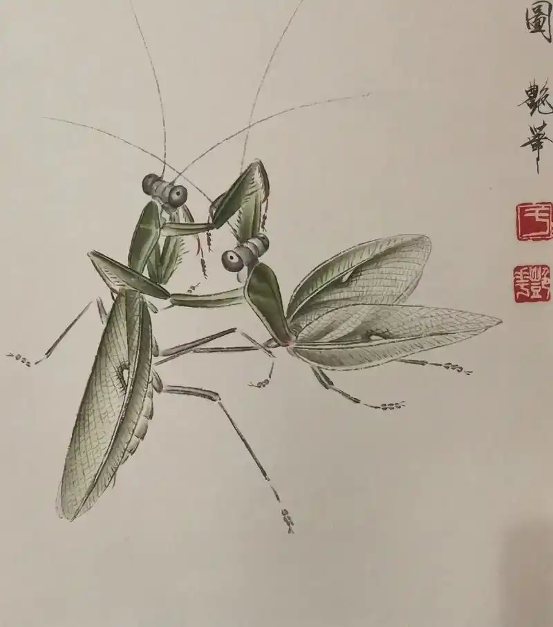 螳螂乐舞图#国画工笔 #于艳华作品  - 抖音