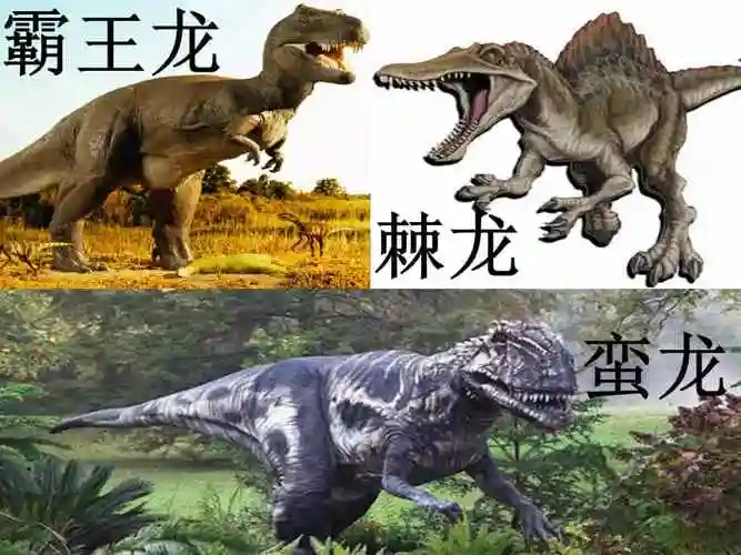 新城幼儿园大班科学恐龙的秘密ppt课件02pptx