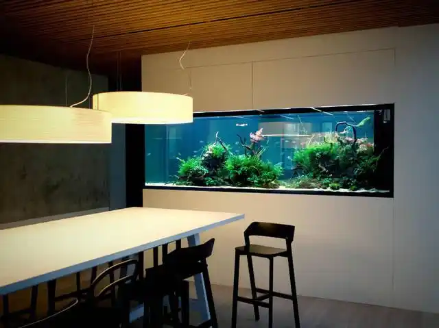 嵌入式鱼缸制作多大尺寸合适!_手机搜狐网