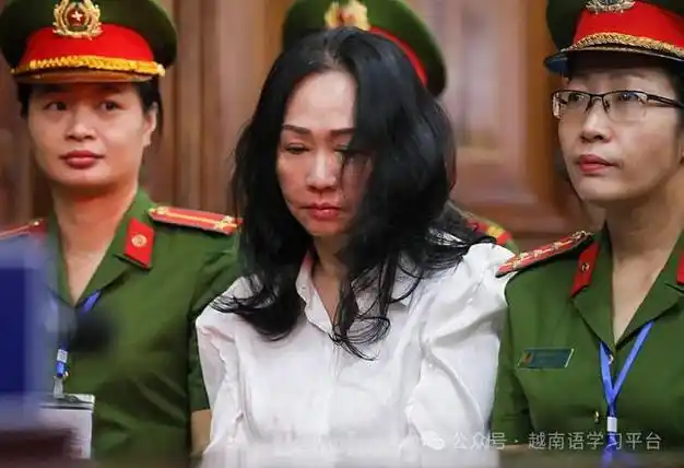 越南华人女首富张美兰被判死刑?完.