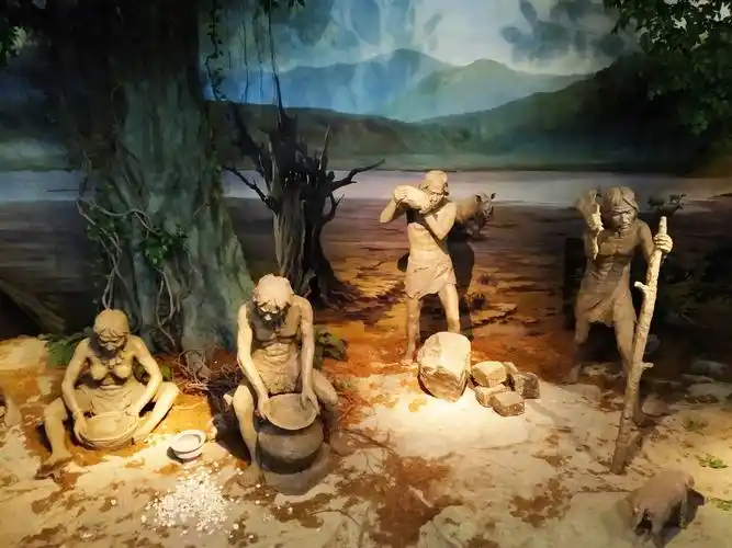 一堂深刻的历史文化课——参观昙石山文化遗址博物舘随感(副本)