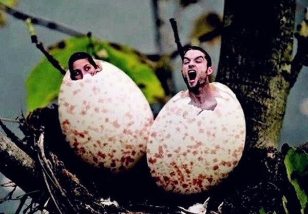 5张奇葩的图片第2个不是一般的辣眼睛