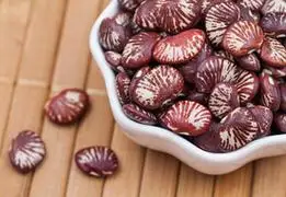 补肾豆长寿豆荷包豆