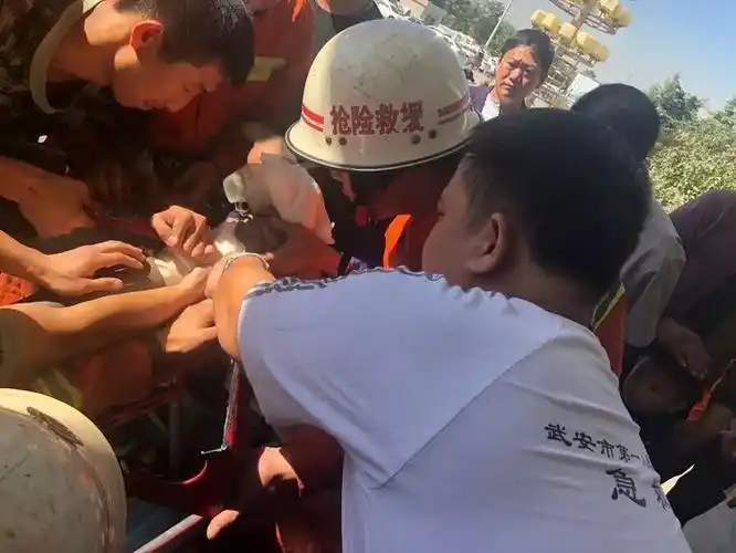 【新闻】邯郸6岁男孩手臂被搅在玉米脱粒机!