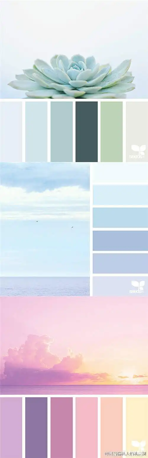 婚礼色卡配色卡