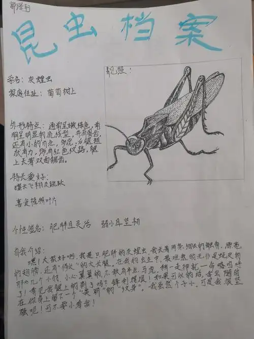 391班《昆虫记》之昆虫档案