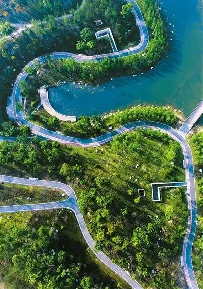 成都天府新区中央公园繁花似锦绿树成荫组图