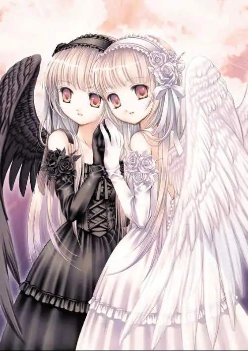 跪求一张一般半天使一半恶魔的图片要动漫的最好是脸部的没有的话就来