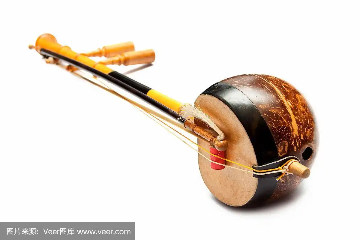 泰国提琴低音弦乐器