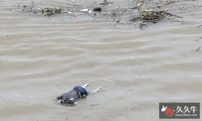 黄河兰州段浮尸成千上万客死他乡尸首无人管震惊网友