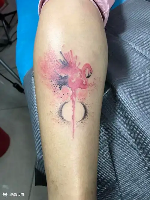 火烈鸟纹身_纹身图案手稿图片_安生的纹身作品集