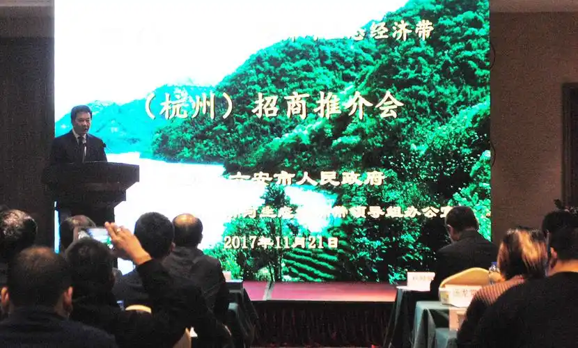 舒城县委常委宣传部长王庭美率队参加六安茶谷暨淠河生态经济带杭州