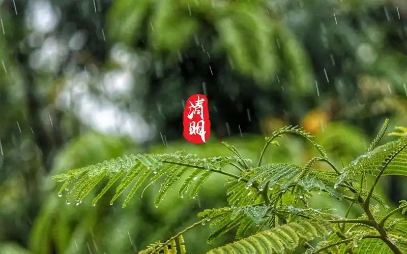 清明主题唯美高清桌面壁纸