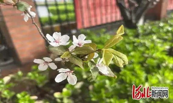 【最新】2024年5月9日9时,河北高速路况信息