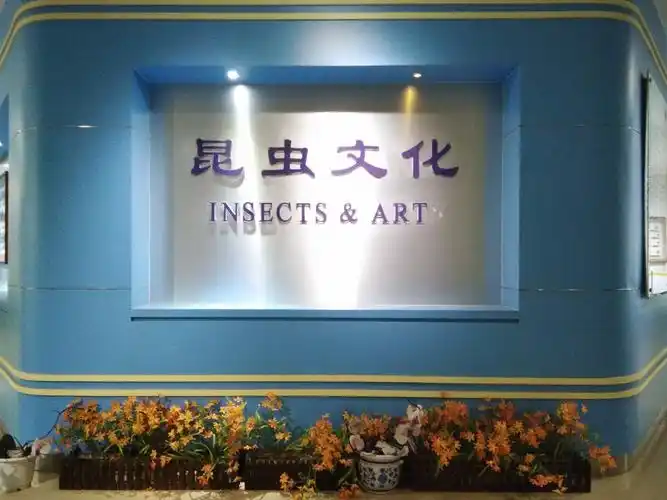 上海no.4(昆虫博物馆,上海光源,南京路)