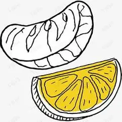 柑橘简笔画 柑橘简笔画图片大全