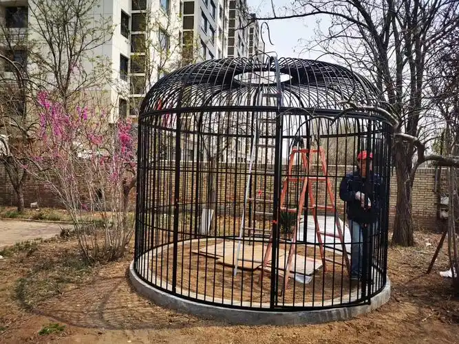 铁艺装饰鸟笼特大号鸟笼八哥虎皮鹦鹉笼落地户外超大型孔雀养鸟笼