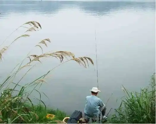 湖南怀化钓友沅江钓获神奇"花骨鱼",男士讨心上人欢心的利器!