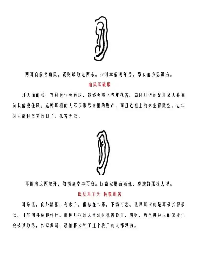 面相学耳朵②.#国学文化 #干货分享 #识人术 #面相 #耳 - 抖音