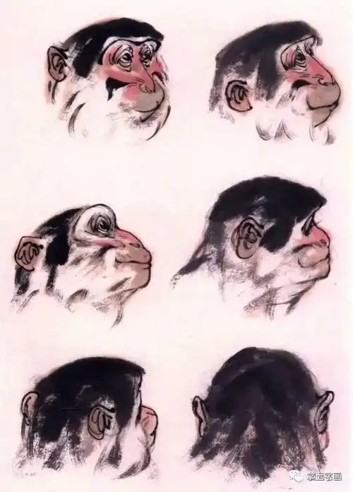 书画联盟丨写意画猴的技法步骤 猴的画法创作图解|水墨|配景|图例
