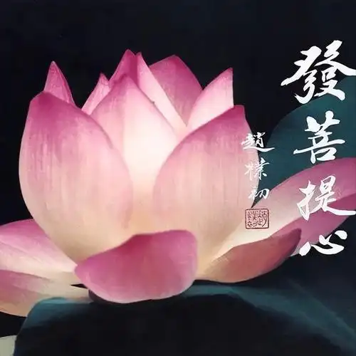 在佛教中,慈悲心分为两种:小慈悲和大慈悲.