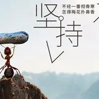 改变命运的微信头像图片【点击鼠标右键下载】