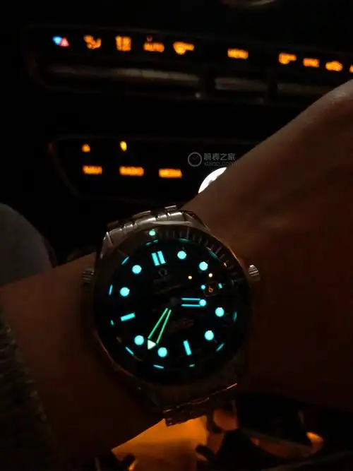 都9102年了,我还是买了老海马300米.