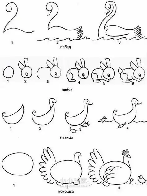 简笔画步骤小动物