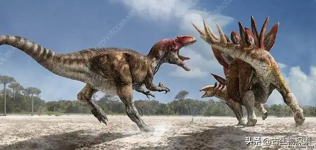 异特龙对剑龙,谁会赢?