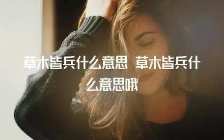 草木皆兵什么意思 草木皆兵什么意思哦