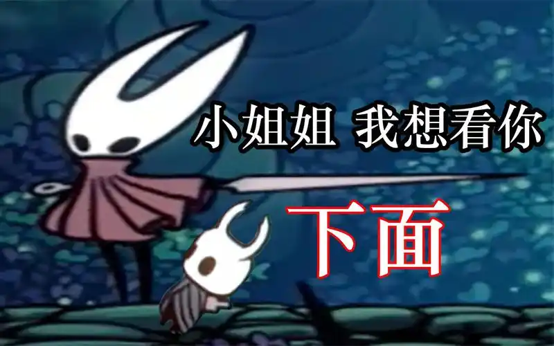 星龙空洞骑士boss篇4大黄蜂小姐姐这次用吊来打你