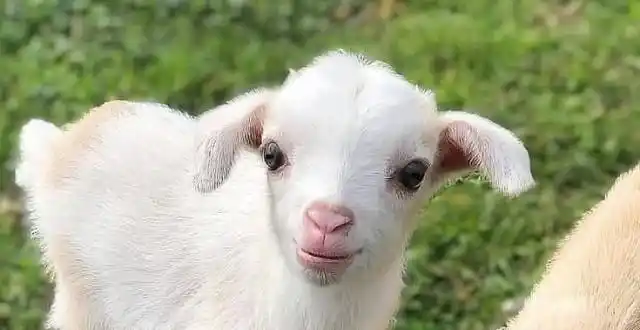 趣趣之心最新文章