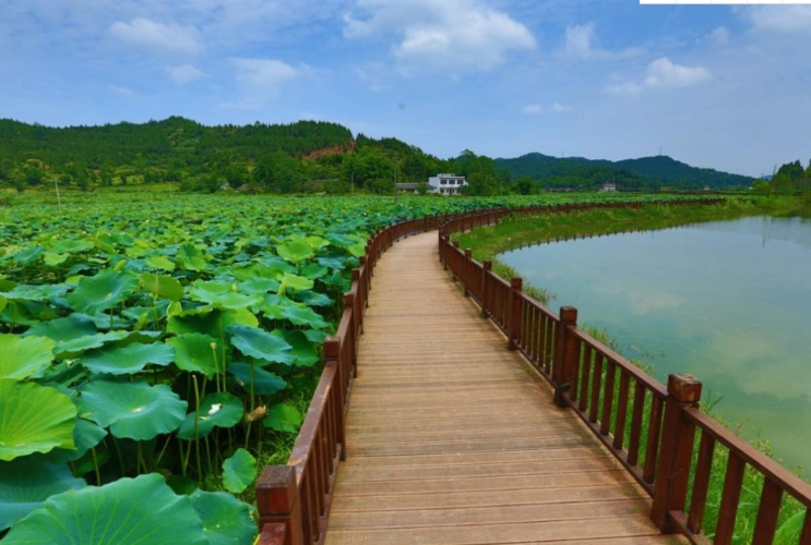 乡村游成休闲度假新热点