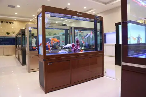 名亨鱼缸陈寨花卉市场展厅实拍图