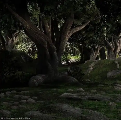 森林一景古树图片